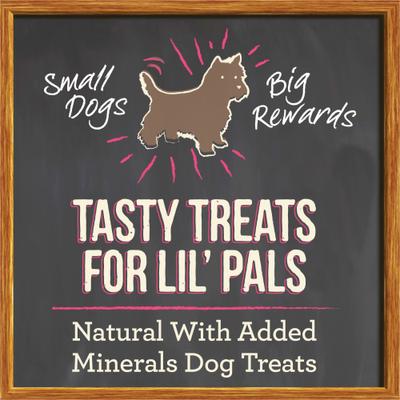 Lil' Plates Small Salmon Recipe Grain-Free Dog Treats, 5-oz bag