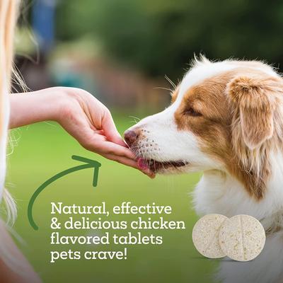 Suplemento masticable oral Naturals contra pulgas y garrapatas para perros y gatos, 120 unidades