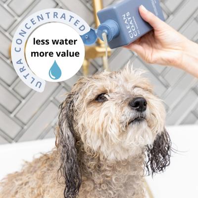 Champú para perros con piel sensible de avena y aloe, sin fragancia, botella de 283 ml