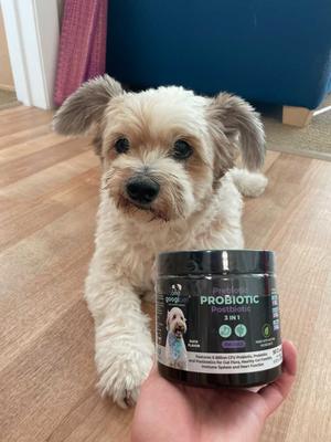 3-in-1 Digestive Probiotic Duck Flavored Soft Chew Supplement for Dogs, 90 count