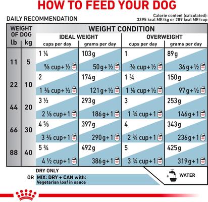 Adult Vegetarian Dry Dog Food, 17.6-lb bag