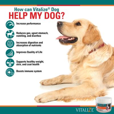 Dog Supplement, 1-lb jar