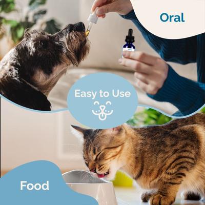 Joint & Muscle Formula Liquid Cat & Dog Supplement, 2-fl oz bottle