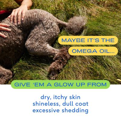 Bundle: Native Pet Beef Bone Broth Powder Food Topper, 4.75-oz + Omega 3 Fish Oil Skin & Coat Health Dog Supplement, 8-oz