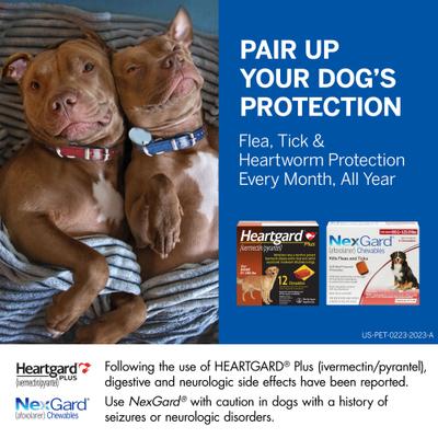 Bundle: Heartgard Plus Chew for Dogs, 51-100 lbs, (Brown Box), 6 Chews (6-mos. supply) & NexGard Chew for Dogs, 60.1-121 lbs, (Red Box), 6 Chews (6-mos. supply)