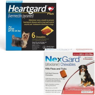 Paquete: Heartgard Plus Chew para perros, 51-100 lbs, (Caja marrón), 6 masticables (suministro para 6 meses) y NexGard Chew para perros, 60.1-121 lbs, (Caja roja), 6 masticables (suministro para 6 meses)