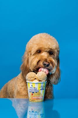 Golosina para perros con helado sabor mantequilla de maní, taza de 5.25 oz