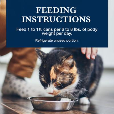 K+M Kidney + Mobility Support Grain-Free Wet Cat Food, 5.5-oz, case of 24