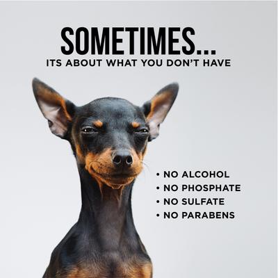 Paquete de limpiador de oídos para perros líquido y toallitas, botella de 8 onzas líquidas y 100 toallitas