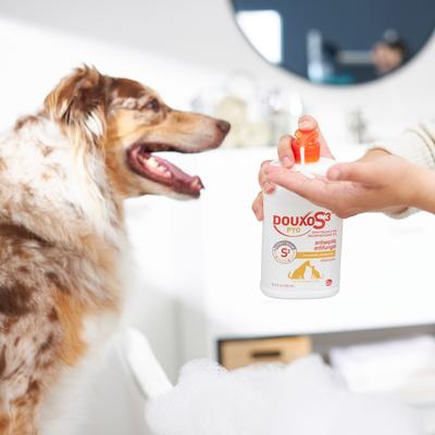 Bundle: Douxo S3 PYO Antiseptic Antifungal Chlorhexidine Mousse, 5.1-oz bottle + Dog & Cat Shampoo, 16.9-oz bottle