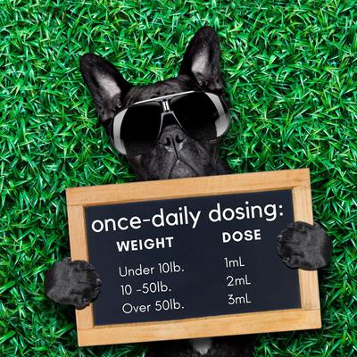 Daily Supplement Unflavored Dog & Cat Supplement, 2-fl oz bottle