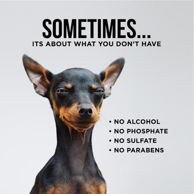 The Only Dog Ear Wipes, 100 count