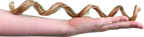 9-12 inch Premium Spiral Bully Stick Dog Treat