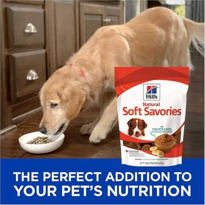Bundle: Hill's Science Diet Adult Sensitive Stomach & Skin Chicken & Barley Recipe Dry Food + Hill's Natural Soft Savories with Peanut Butter & Banana Dog Treats