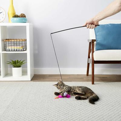 Bundle: Blue Buffalo Wilderness Chicken & Turkey Grain-Free Cat Treats, 2-oz bag + Frisco Bird Teaser with Feathers Cat Toy, Purple