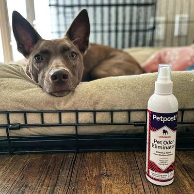 Pet Odor Eliminator Spray, 8-fl oz bottle