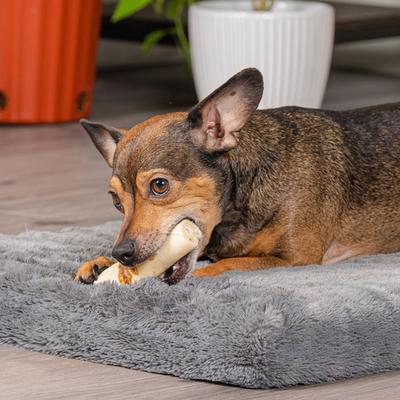 Twistedz 4-inch Beefhide Rolls Beef Flavored Wrap Dog Hard Chews, 4 count