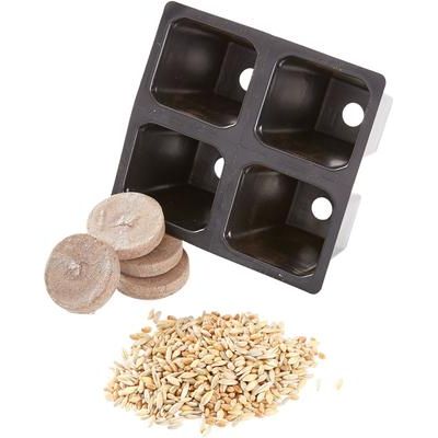 Paquete: Jardín para gatitos SmartCat + Kit de recarga de semillas para jardín para gatitos