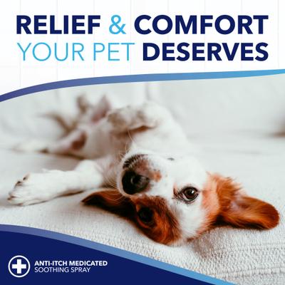 Bundle: TropiClean OxyMed Medicated Anti-Itch Oatmeal Dog & Cat Shampoo, 20-fl oz bottle + Anti-Itch Spray, 8-fl oz bottle