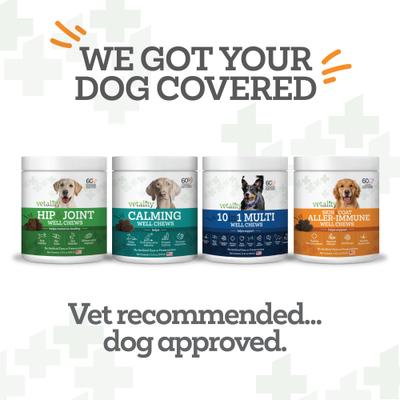 Aller-Immune Skin & Coat Well Bites Dog Supplement, 60 count