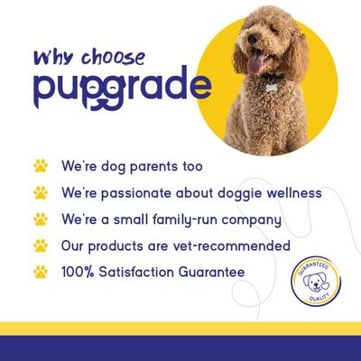 Itch & Allergy Supplement for Dogs, 60 count