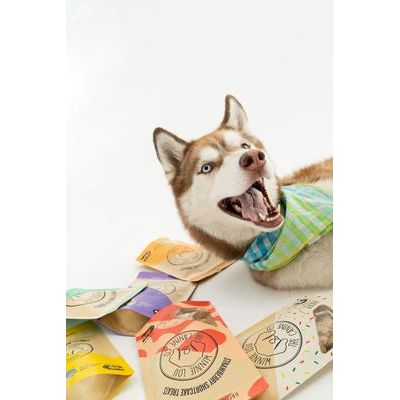 Strawberry Shortcake Crunchy Dog Treats, 4-oz bag