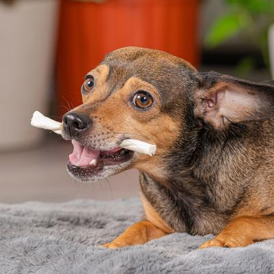 Twistedz - Palitos masticables duros para perros con sabor a carne de res de 5 pulgadas, 20 unidades