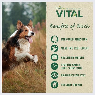 Bundle: Freshpet Dognation Chicken Recipe Fresh Treats + Vital Chicken, Beef, Salmon & Egg Recipe Fresh Dog Food