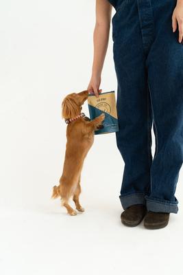 Elk Jerky Dog Treats, 2.5-oz bag