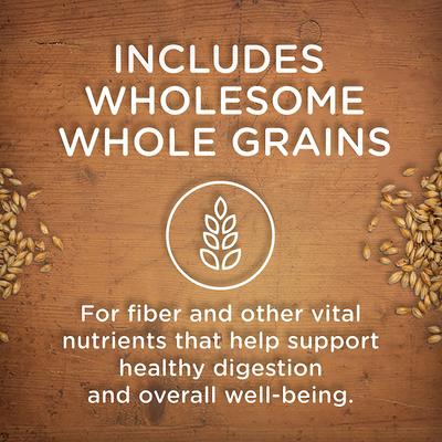 Bundle: Rachael Ray Nutrish Chicken Paw Pie Wet Dog Food + Chicken Muttballs with Pasta Wet Food