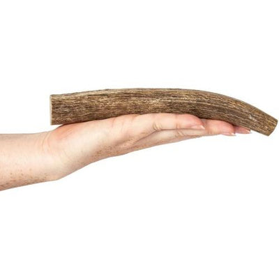 Golosinas para perros de asta de alce entera, 1 unidad, tamaño grande