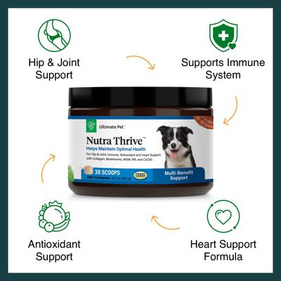 Nutra Thrive Multivitamin 40-in-1 Powder Supplement for Dogs, 4.02-oz jar