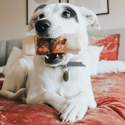 5-in Chicken Wrapped Beef Collagen Cheeks Dog Treat