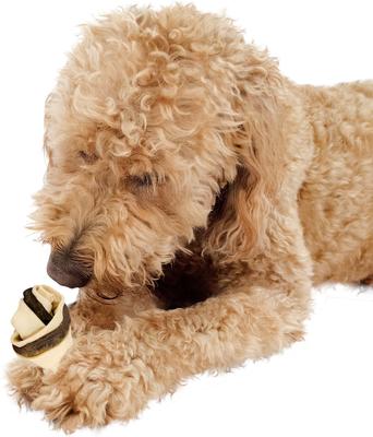 All Natural Grain-Free Jerky Bone Rawhide Dog Treats, 6 count