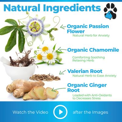 Calm Treats Advanced Calming Natural Chicken Flavor Chews Dog Supplement, 120 count