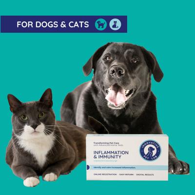 Inflammation & Immunity Dog & Cat Gut Check Kit