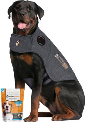 Bundle: ThunderShirt Classic Anxiety & Calming Vest, Heather Grey, X-Small + ThunderWunders Melatonin Dog Chews