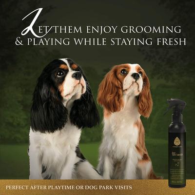 Retail Dry Bath Cat & Dog Deodorizer Spray, 8.12-fl oz bottle