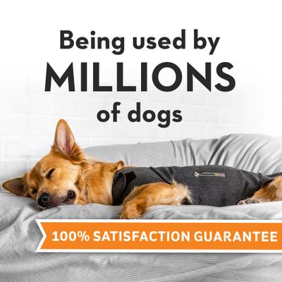 Chaleco clásico para perros, antiansiedad y calmante, gris jaspeado, grande