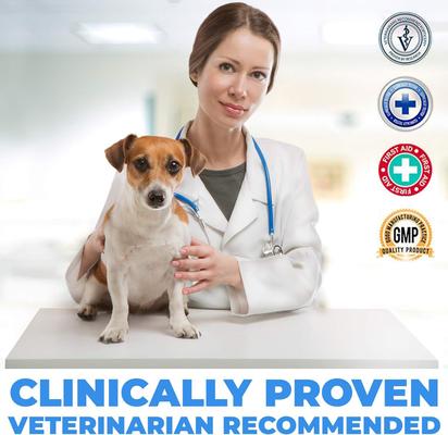 Anti-Itch Ear Infection Treatment Drops for Dogs & Cats, 2-fl oz bottle