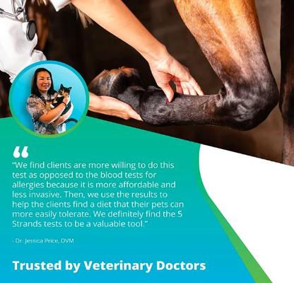 Equine Health Test for Horse