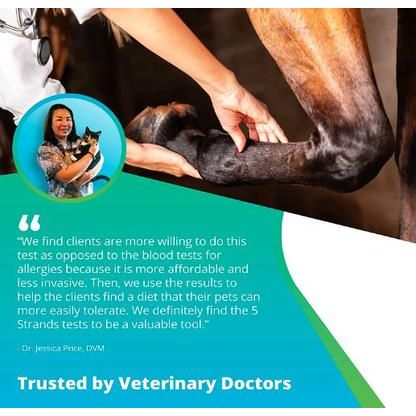 Equine Health Test for Horse