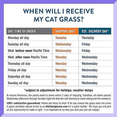 Live Grass Cat Treat, 3 count
