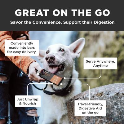 Firm Up! Pumpkin Bars Digestive Aid Dehydrated Dog Treats, 12.6-oz, pack of 6