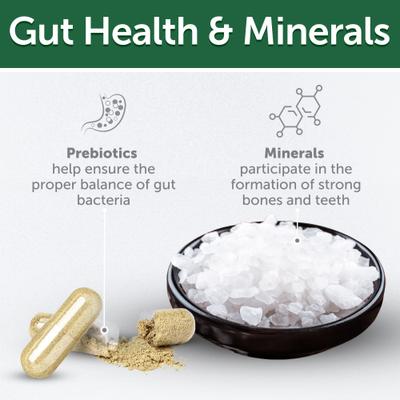 Superior Care Grain-Free Salmon Puppy Dog Treats, 5.29-oz bag