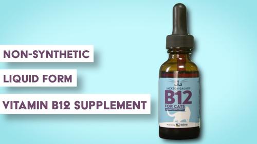 B12 Vitamin Supplement for Adult Cats, 1-fl oz bottle