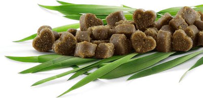 Li'l Treats Bacon & Cheese Flavor Dog Treats, 6-oz bag