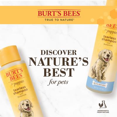Paquete: alimento seco para perros Purina ONE SmartBlend Healthy Puppy Formula + champú para cachorros Burt's Bees Tearless con suero de leche