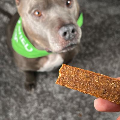 Plant-Based Jerky Dog Treats, 8-oz bag