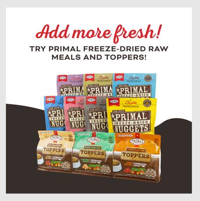 Pumpkin for My Pumpkin Chicken & Pumpkin with Goat Milk Flavored Crunchy Dog Treats, 2-oz bag